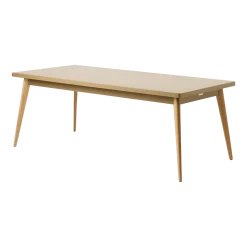 Table rectangulaire en acier brun vert et pieds bois 200x95cm 55 - Tolix