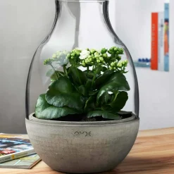 Terrarium Eden transparent avec base en béton moulé - Nude Glass