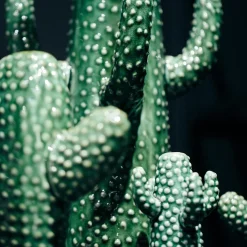 Vase Cactus M - Serax