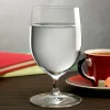 Vintage Set of 2 Water Glasses - Nude Glass